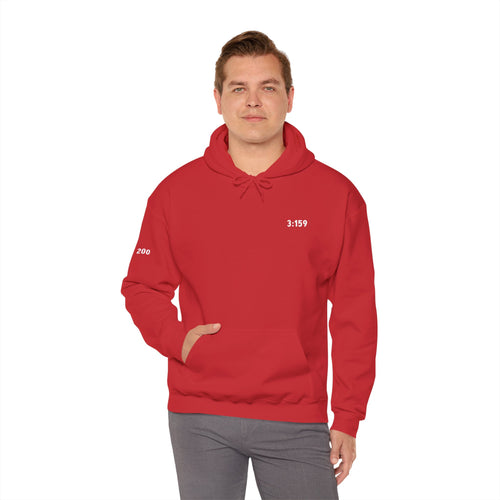 3:159 - C2 - Cozy Classic Hoodie